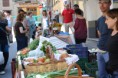 /album/galeria-dimatges/img-7246-jpg/